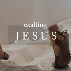 Jesus the Evangelist Part 5